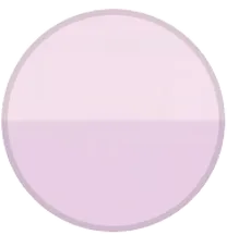 Taro